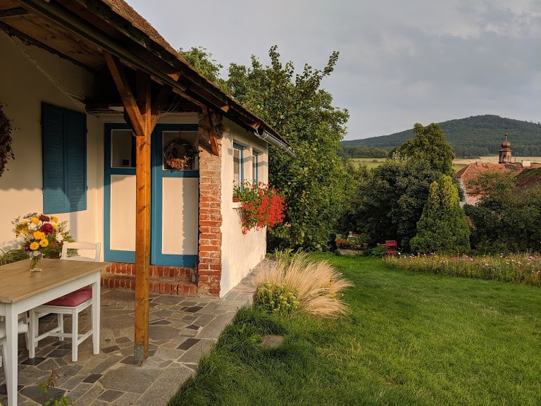 Hodinová online konzultace