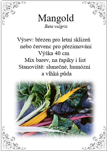 Mangold, různobarevné řapíky