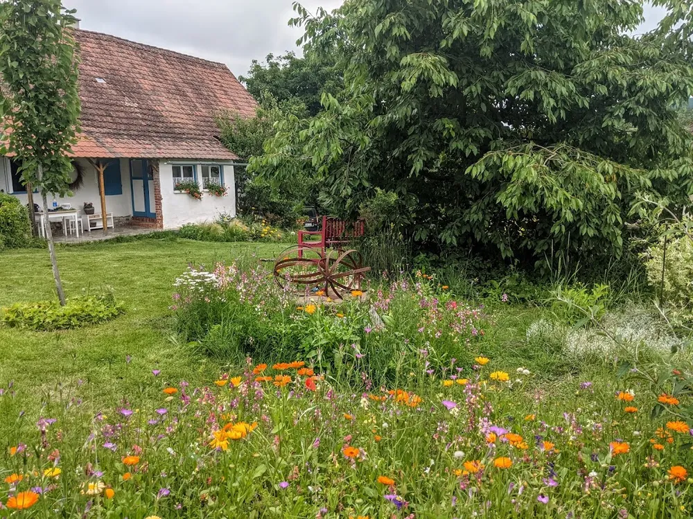 Strakonická louka, 20 g, 4-10 m2