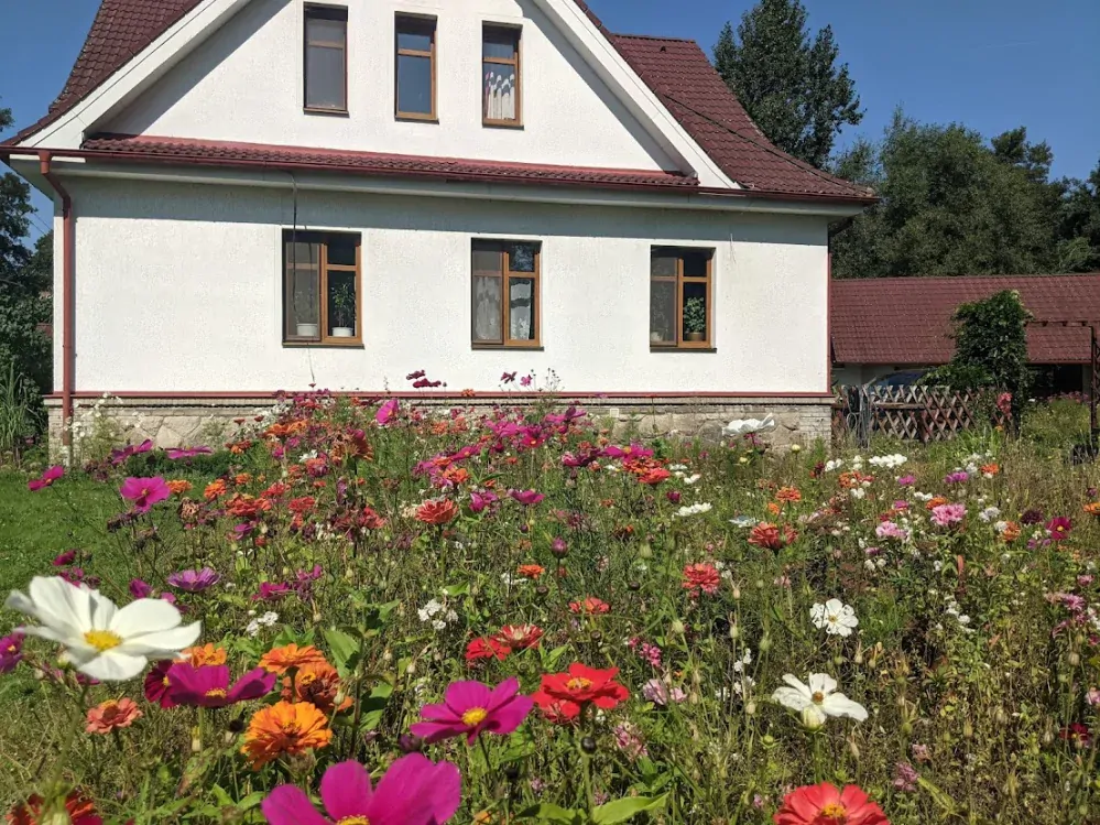 Lednická radost - směs letniček (100 g)