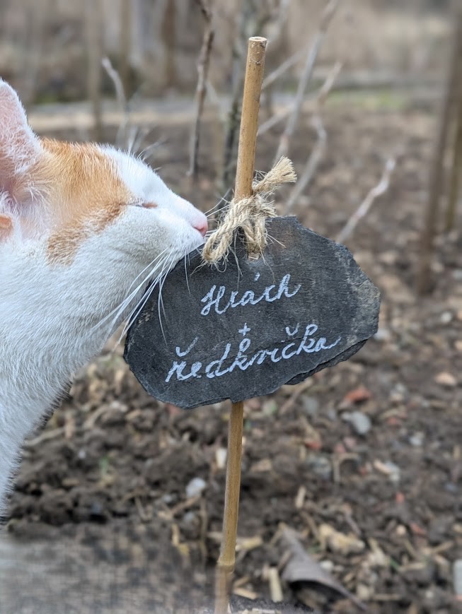 Břidlicová popiska, visačka z břidlice