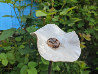 Keramická květina, zvlněný květ, bílý